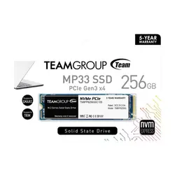 اس اس دی NVMe تیم گروپ 256GB مدل MP33