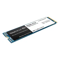 اس اس دی NVMe تیم گروپ 256GB مدل MP33