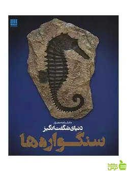 دانشنامه مصور دنیای شگفت انگیز سنگواره ها پال دی تیلر سایان