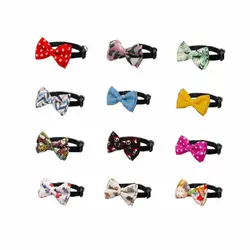 قلاده و پاپیون گربه، کوچک، نیناپت