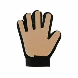 دستکش مو جمع کن، مخصوص سگ و گربه، مدل C11
