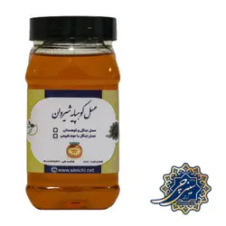 عسل طبیعی جنگل و کوهستان (کوهپایه) یک کیلوگرم Mountain Honey