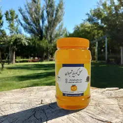 عسل طبیعی جنگل و کوهستان (کوهپایه) یک کیلوگرم Mountain Honey