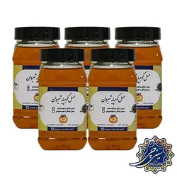 بسته 5 عددی عسل طبیعی جنگل و کوهستان