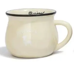 ماگ رجینال کوچک