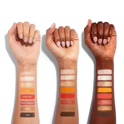 پالت سایه مورف مدل جیمز چارلز  James Charles