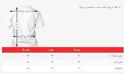 تیشرت زنانه طرح آویز فلای پرشیا