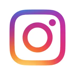 بالش رزین تاژ مدل آلوئه ورا
