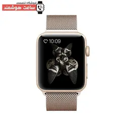 خرید بند میلانس اپل واچ - Apple Watch Milanese Strap - فروشگاه تخصصی ساعت هوشمند