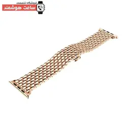 خرید بند دراگون اپل واچ - فروشگاه تخصصی ساعت هوشمند