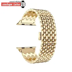 خرید بند دراگون اپل واچ - فروشگاه تخصصی ساعت هوشمند
