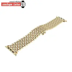 خرید بند دراگون اپل واچ - فروشگاه تخصصی ساعت هوشمند