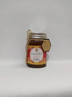 عسل چهل گیاه ارگانیک 450 گرمی کوهستان سارال
