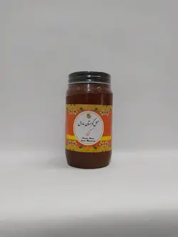 عسل کنار ارگانیک 650 گرمی کوهستان سارال