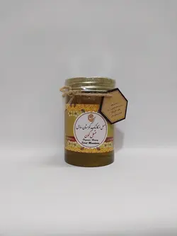 عسل گون ارگانیک 450 گرمی کوهستان سارال