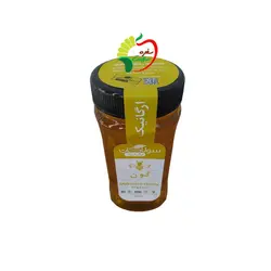 عسل گون ارگانیک 685 گرمی سولاکان