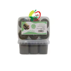 لواشک کیوی طبیعی 500 گرمی گل باغ سی