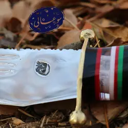 بامبوزن کلکسیونی استاد خلج کد 670