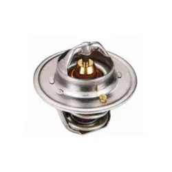 ترموستات پراید 76 درجه آماتا