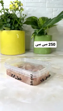 ظروف فریزری 250 سی سی