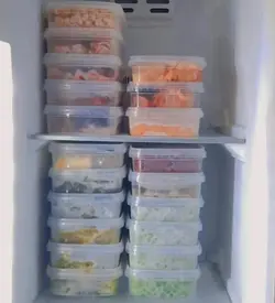 ظروف فریزری 550 سی سی