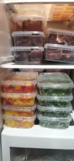 ظروف فریزری 550 سی سی