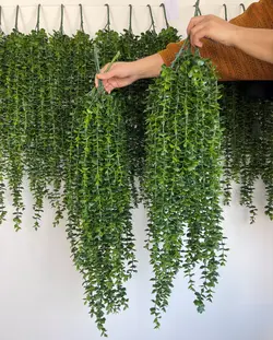 ریسه شمشاد ساده