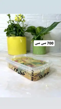 ظروف فریزری 700 سی سی