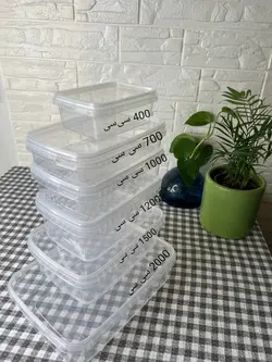 ظروف فریزری 1000 سی سی