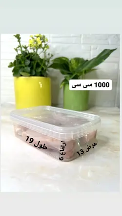 ظروف فریزری 1000 سی سی