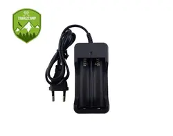 شارژر اتوماتیک باتری پلیسی مدل zj3009