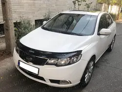 پشه پران سراتو 2010