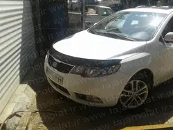 پشه پران سراتو 2010