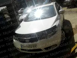 پشه پران سراتو 2010