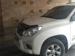 پشه پران پرادو 2012