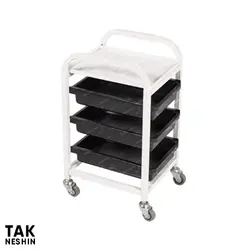 ترولی پدیکور 2010