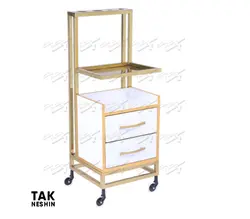 ترولی فیشیال 2041