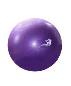 توپ ایروبیک ( جیم بال ) POWERGYM