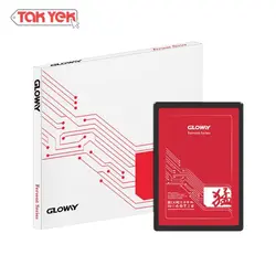 اس اس دی Gloway 240G