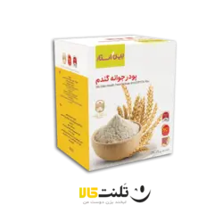 پودر جوانه گندم بین استار