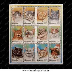 گربه‌ها - گویان ۱۹۹۵