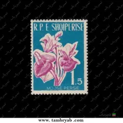 گل‌ها - آلبانی ۱۹۶۱