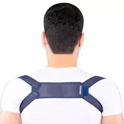 قوزبند پروانه‌ای Free