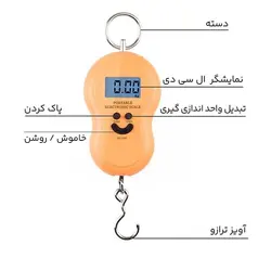 ترازو آویز دیجیتالی گلابی 50KG – ترازیران