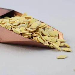 تخمه کدو گوشتی