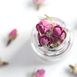 غنچه گل سرخ