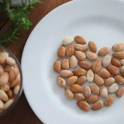 هسته زردآلو بو داده