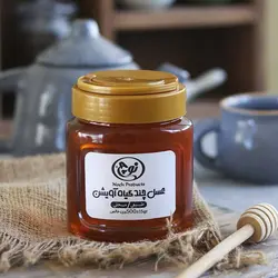 عسل چند گیاه آویشن نوچ 500 گرمی