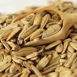 تخمه آفتابگردان رژیمی سناتور