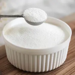 کافی میت هلند